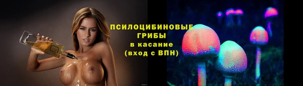 твердый Алексин