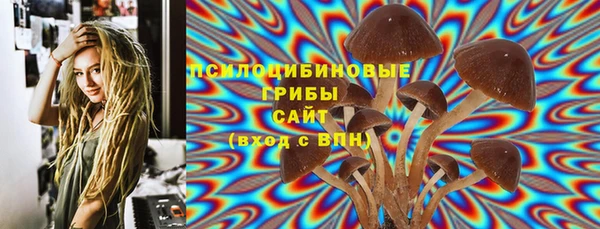 твердый Алексин